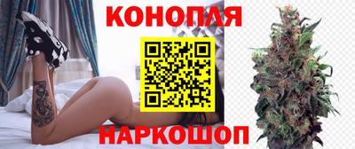 эйфоретик Владимир